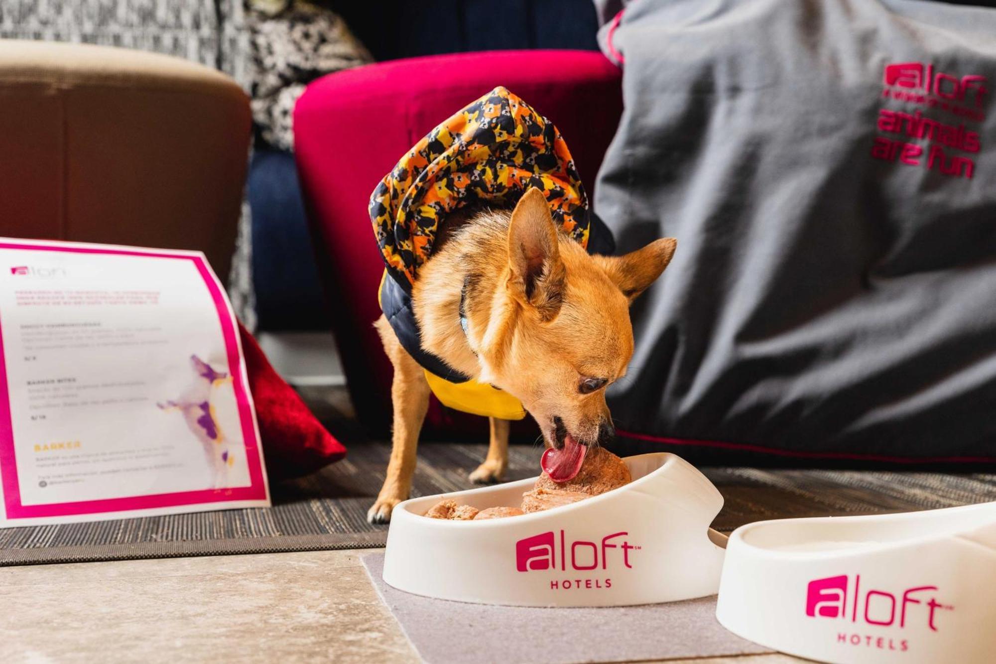 Aloft Lima Miraflores Extérieur photo